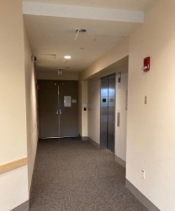 view of the hallway leading to the rear exit from the library